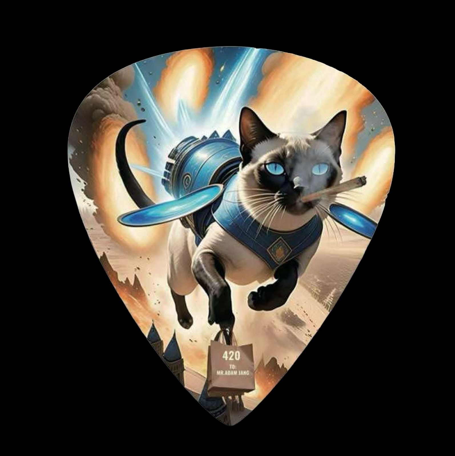 Special Guitar Pick
